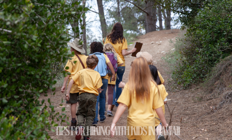 Top 10 Tips for Hiking With Kids In Hawaii